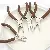 Handmade Diy Pliers Coffee Colored Needle Nose Jewelry Multifunctional Round,chaincharmsupply.com