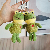 Cartoon plush frog keychain,chaincharmsupply.com