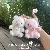 Cute And Scented Pig Plush Toy Keychain Doll Charm Bag,chaincharmsupply.com