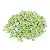 6mm Color-plated Sequin Nest Piece Handmade Diy Decoration Material Clothing - Color plated sequins green-6mm 20g/pack about 1200 pieces