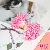 Chiffon Flower Stamens Handmade Diy Antique Hairpin Simulation Material Match - Dark pink - length about 55mm, about 120-150 pieces/pack
