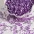 2*7mm Colored Glass Rice Beads Tube Handmade Diy Beaded Jewelry - Purple - 3 tubes, color plated series, diameter about 2mm × length about 7mm, 15g/pack, about 300 pieces