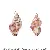 Diy Natural Shell Conch Charm Electroplating Material Handmade Earrings Wind - Style 1 Conch-natural color 2 pcs/pack