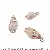 Diy Natural Shell Conch Charm Electroplating Material Handmade Earrings Wind - Style 3 Conch-natural color 2 pcs/pack