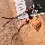 Wholesale Trendy Woven Bag Charm & Keychain Supply - Coffee
