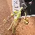 Wholesale Trendy Woven Bag Charm & Keychain Supply - Yellow