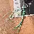 Wholesale Trendy Woven Bag Charm & Keychain Supply - Light Green