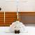 Resin Wholesale Keychain Supply for Gourmet Charm Lovers - Dumplings-10cm colored rope