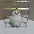 Wholesale Scented Owl Plush Keychain & Bag Charm Supply - White-10cm gold lobster clasp