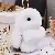 Wholesale Real Rex Rabbit Keychain Pendants for Retail Supply - White