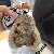 Cute Bunny Faux Fur Keychain Supply for Retailers - Grey
