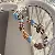 Wholesale Cute Puppy Phone Chain & Bag Charm Supply - Cube brown bear