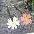 Wholesale Supply Leather Sunflower bag charms for Retailers - Pink without stitching decoration
