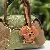 PU Leather Curly Teddy Dog Bag Charm Wholesale Supply - Light brown