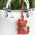 Durable Alloy Cat Bow Charm Supply with Quality Craftsmanship - Orange color