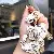 Leather Kitten Keychains Wholesale | High-Quality Charm Supply - White grid