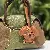 Wholesale Spot Teddy Dog Curly Leather Keychains Supply - Light brown
