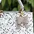 Wholesale Cross-border Bow Bag Charm Supply for Retailers - Apricot