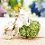 Wholesale Cute Rhinestone Lemon Keychain for Retailers - Metal cabbage green-individually packaged