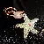 Pearl Shell Starfish Keychain Supply with Quality Craftsmanship - A553 jelly starfish white-single OPP bag packaging