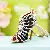 Wholesale Rhinestone-Encrusted Sneakers & Bag Charm Supply - Striped high heels black - single OPP bag packaging