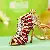 Wholesale Rhinestone-Encrusted High Heels & Bag Charm Supply - Striped high heels red - single OPP bag packaging