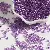 Glass Transparent Silver-filled Rice Beads Supply for Wholesale - Light purple-4mm hole diameter 1mm 15g/pack about 150 pieces