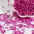Glass Transparent Silver-filled Rice Beads Supply for Wholesale - Rose red-4mm hole diameter 1mm 15g/pack about 150 pieces