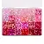 Wholesale Cross-border Millet Beads Set for Retail Supply - Red color-3mm, 6.5g per grid, about 5200pcs, 1 box/pack