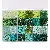 Wholesale Cross-border Millet Beads Set for Retail Supply - Green color-3mm, 6.5g per grid, about 5200pcs, 1 box/pack