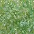 Wholesale 2*4mm Ice Transparent Rice Beads Diy Handmade Beading - Jade green series-10g/pack, about 150 pieces, 2x4mm, aperture about 1mm