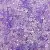 Wholesale 2*4mm Ice Transparent Rice Beads Diy Handmade Beading - Jade purple series-10g/pack, about 150 pieces, 2x4mm, aperture about 1mm