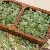 Glass Smudged Gold Bamboo Beads Antique Loose Handmade Diy Hand - Light green-6x12mm50pcs/pack